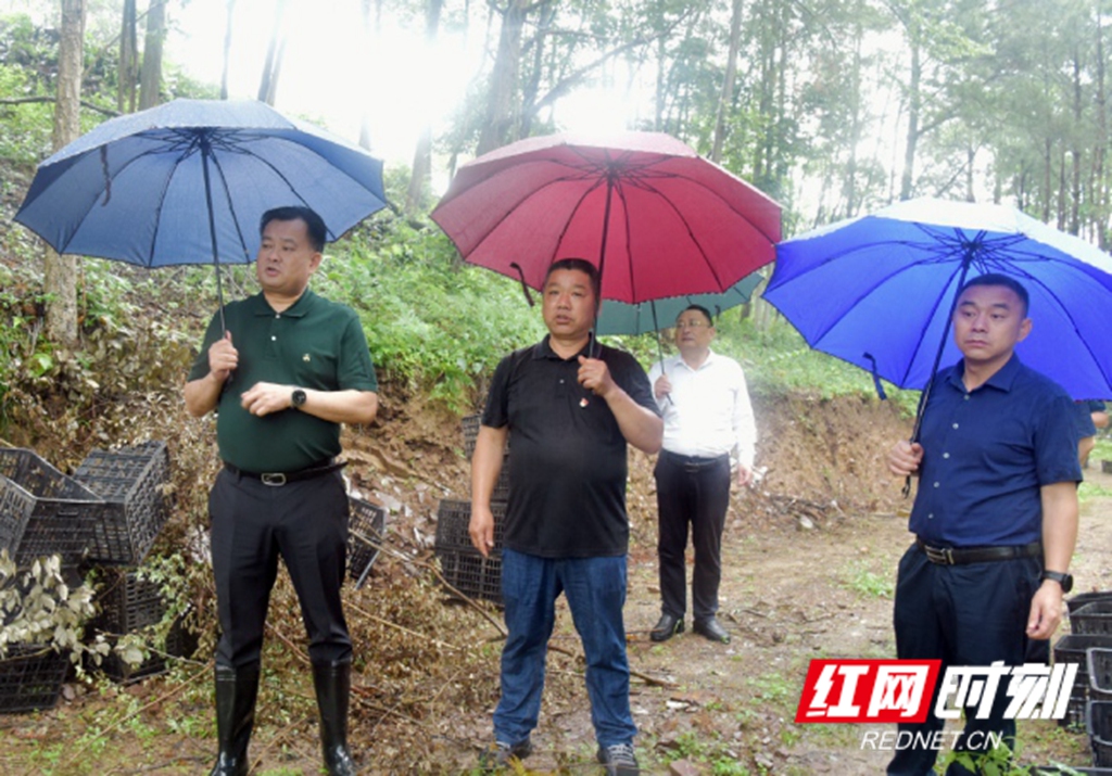 沅陵县委书记刘向阳:推动县乡村三级"月例会" 解决巩固脱贫攻坚成果"