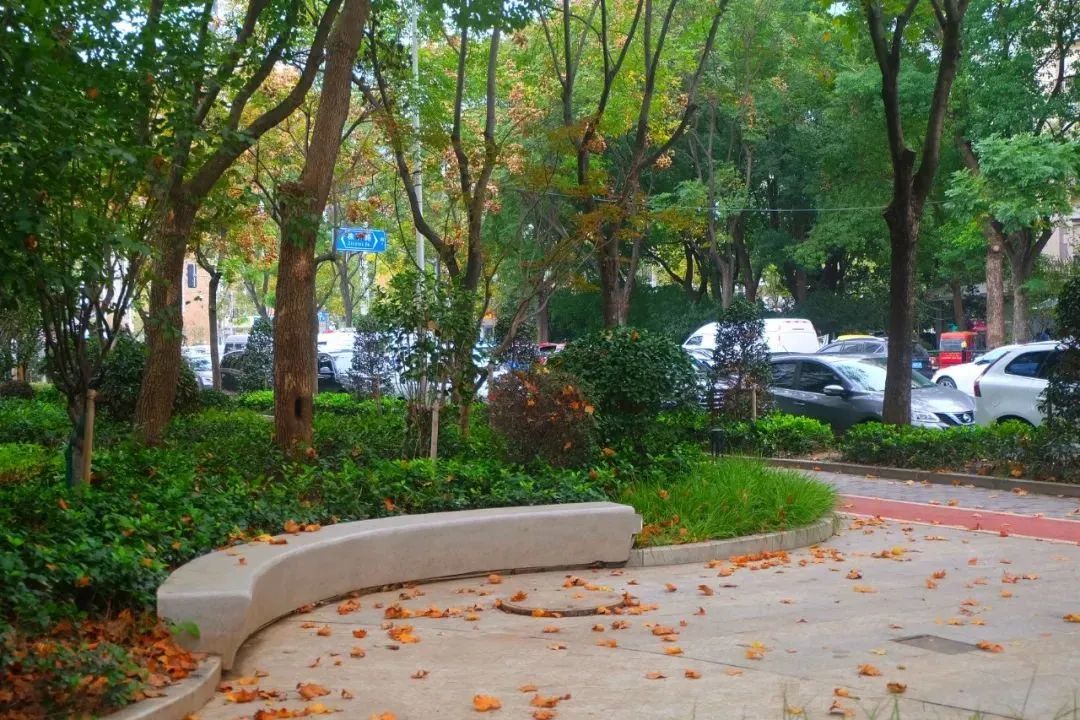 广中北宝兴路街区完成改造展新颜～变身生活"舒适圈"