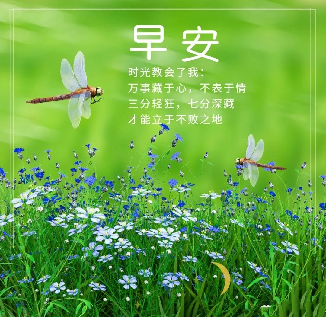 早上好,微商励志早安语录精选,多张早安祝福语图片带字