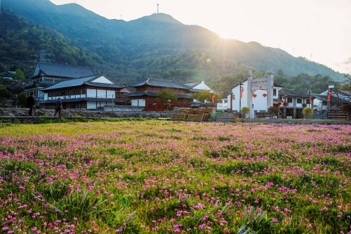 平阳县海西镇:乡风文明让村民走上"致富路"