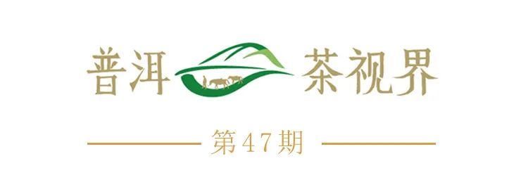 云雾深山藏好茶:"水之灵"茶香溢四方