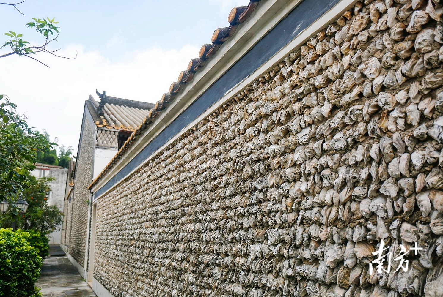 龙瑞村:谿角传古韵 侨乡试"新衣"|中山侨村行⑥