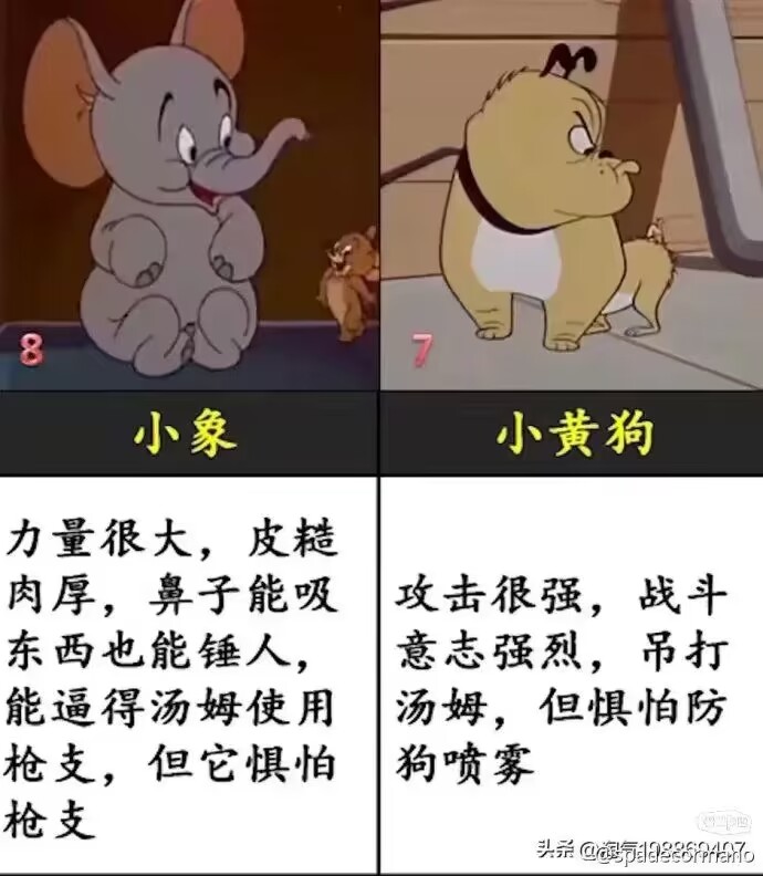 猫和老鼠战斗力排名图片