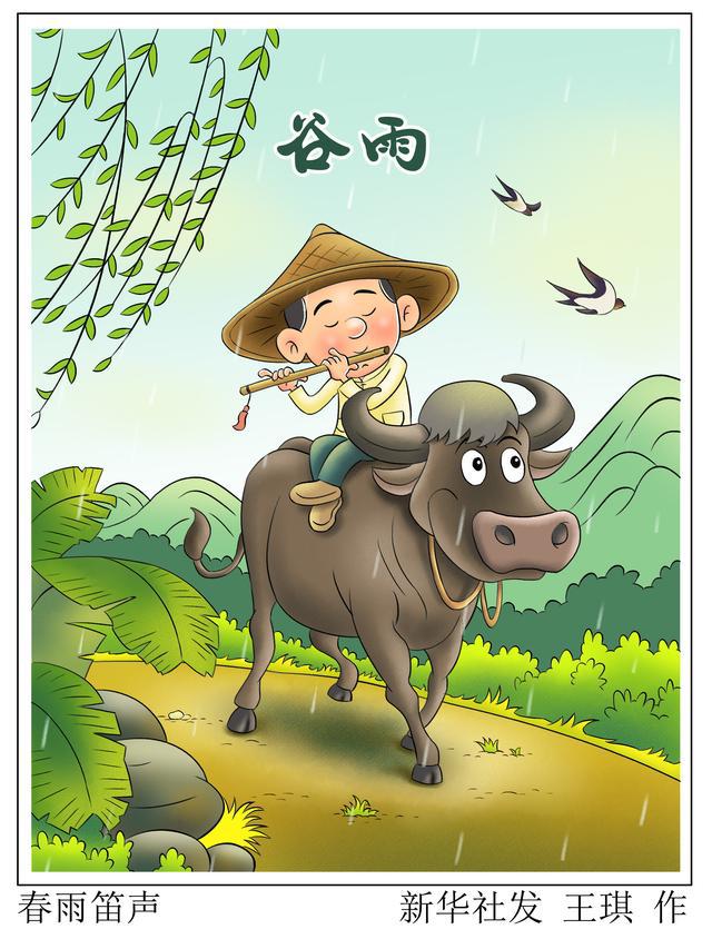 (图表·漫画)「二十四节气·谷雨」春雨笛声