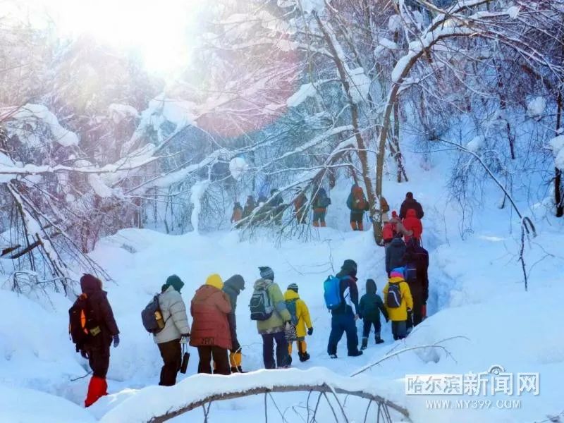 4天25公里丨穿林海跨雪原,你敢來挑戰嗎?