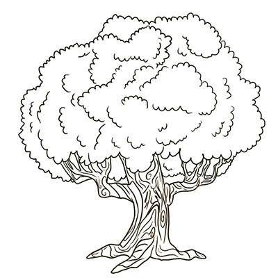 青未了|向一棵泡桐致敬