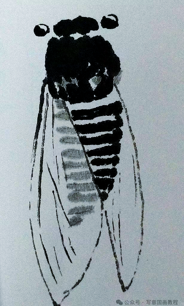 写意《蝉》的绘画技巧与步骤详解
