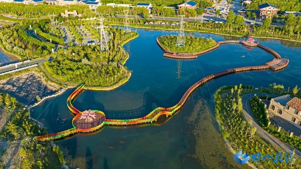 张掖水云乡生态公园夏景如画