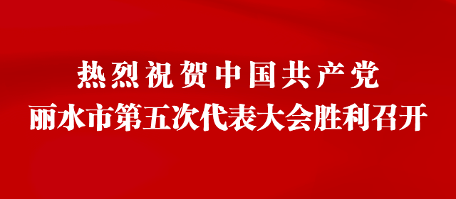 市第五次党代会首次开通"党代表通道"