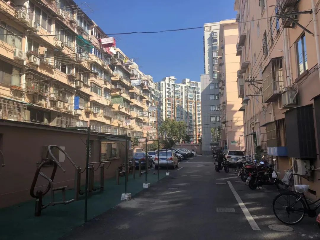 【我们的美丽家园】杨浦区长白新村街道安图小区