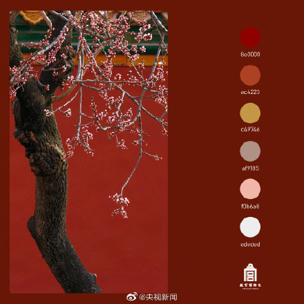 好美!春日故宫配色高级又浪漫