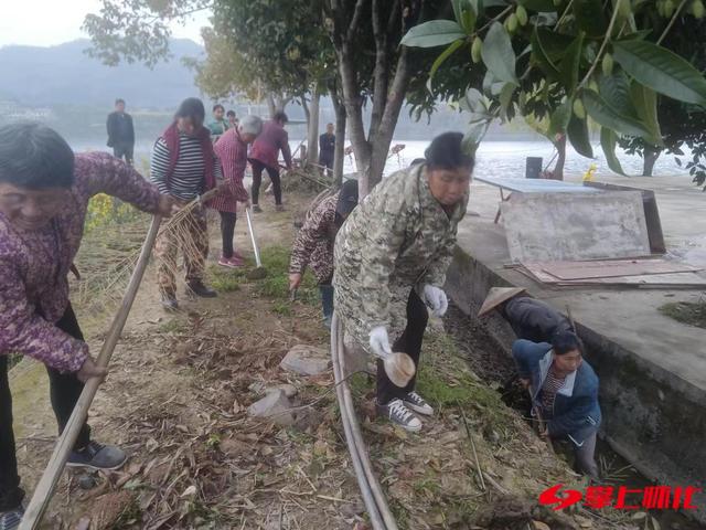 辰溪傅家湾村"巾帼"志愿队人居环境整治展风采