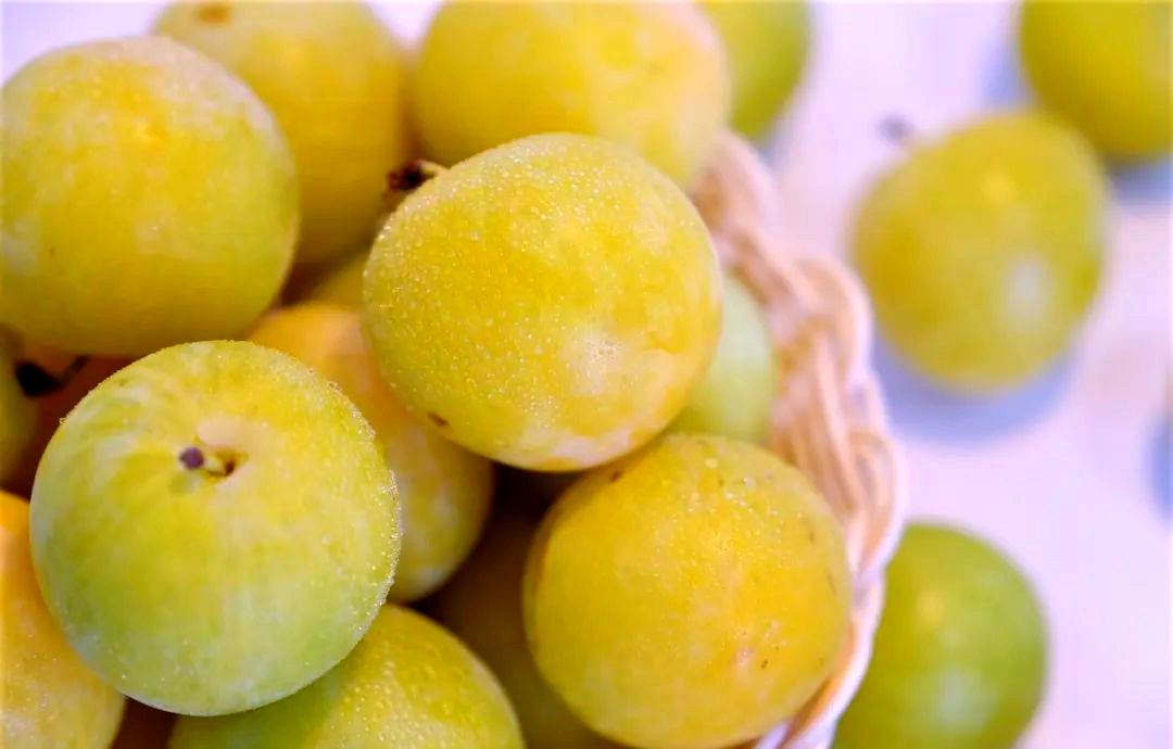 汉源桃花李:夏日珍品,金黄多汁,香甜美味,错过等一年!