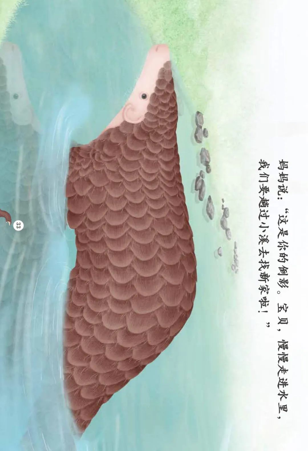 绘本|穿山甲宝宝成长记
