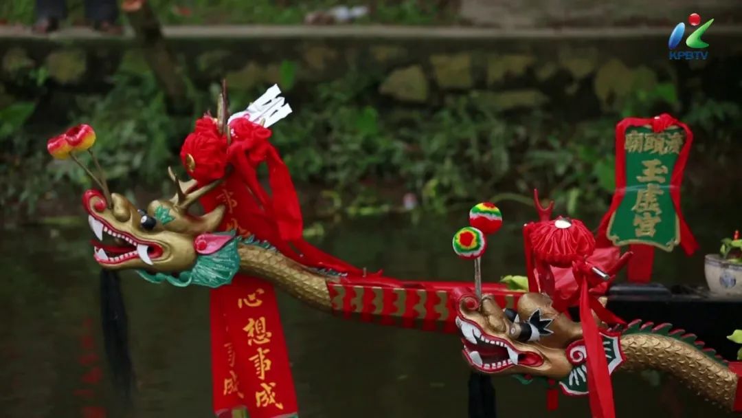 揭秘!开平龙舟文化藏着这些故事