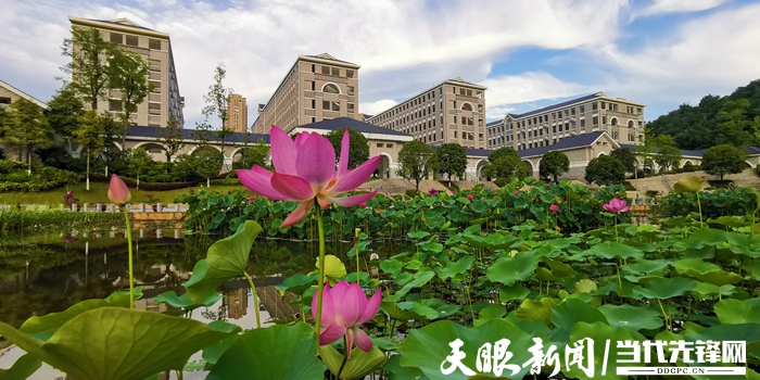 清荷育人,立德铸魂,遵义五中闯出一条"三新"改革新路子