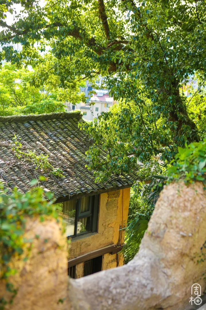 百年古村变网红?这座梦想中的"诗酒田园",就在古堰画乡旁