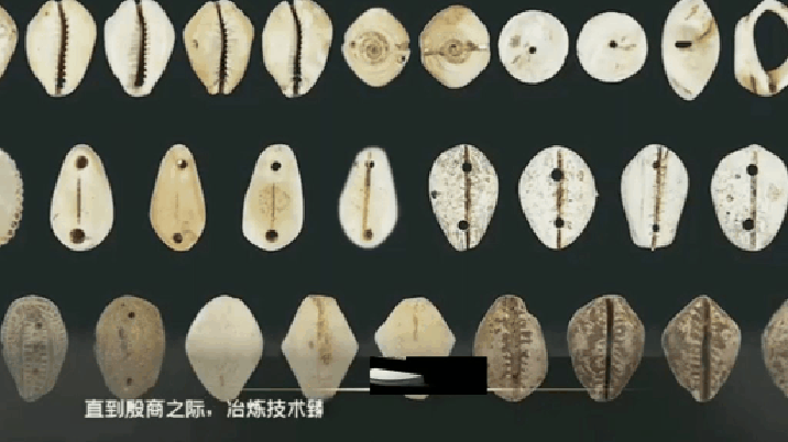 封建时代的货币是贝壳制成,穷人实现一夜暴富为何不去海边捡?