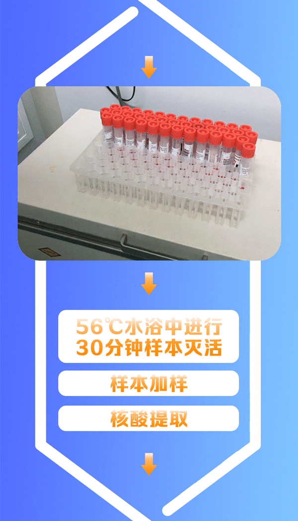 速看!核酸检测结果这样查|图一条