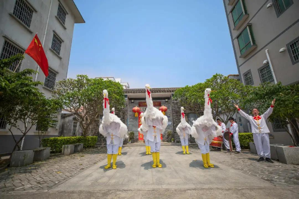 「珠海非遗」祥瑞仙鹤,翩跹起舞——三灶鹤舞
