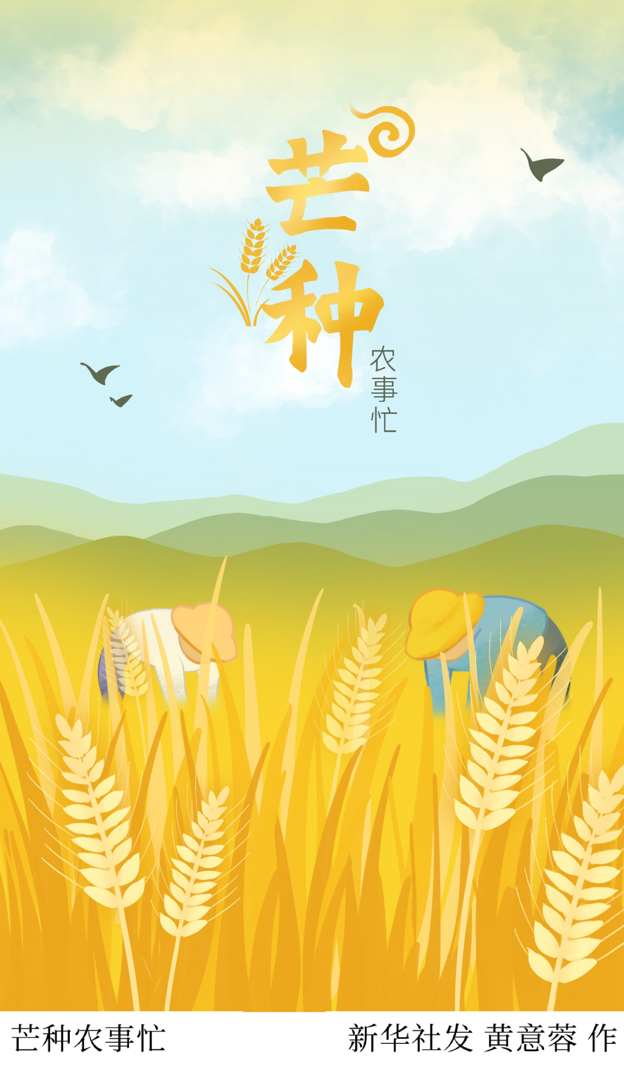 「二十四节气·芒种」芒种农事忙