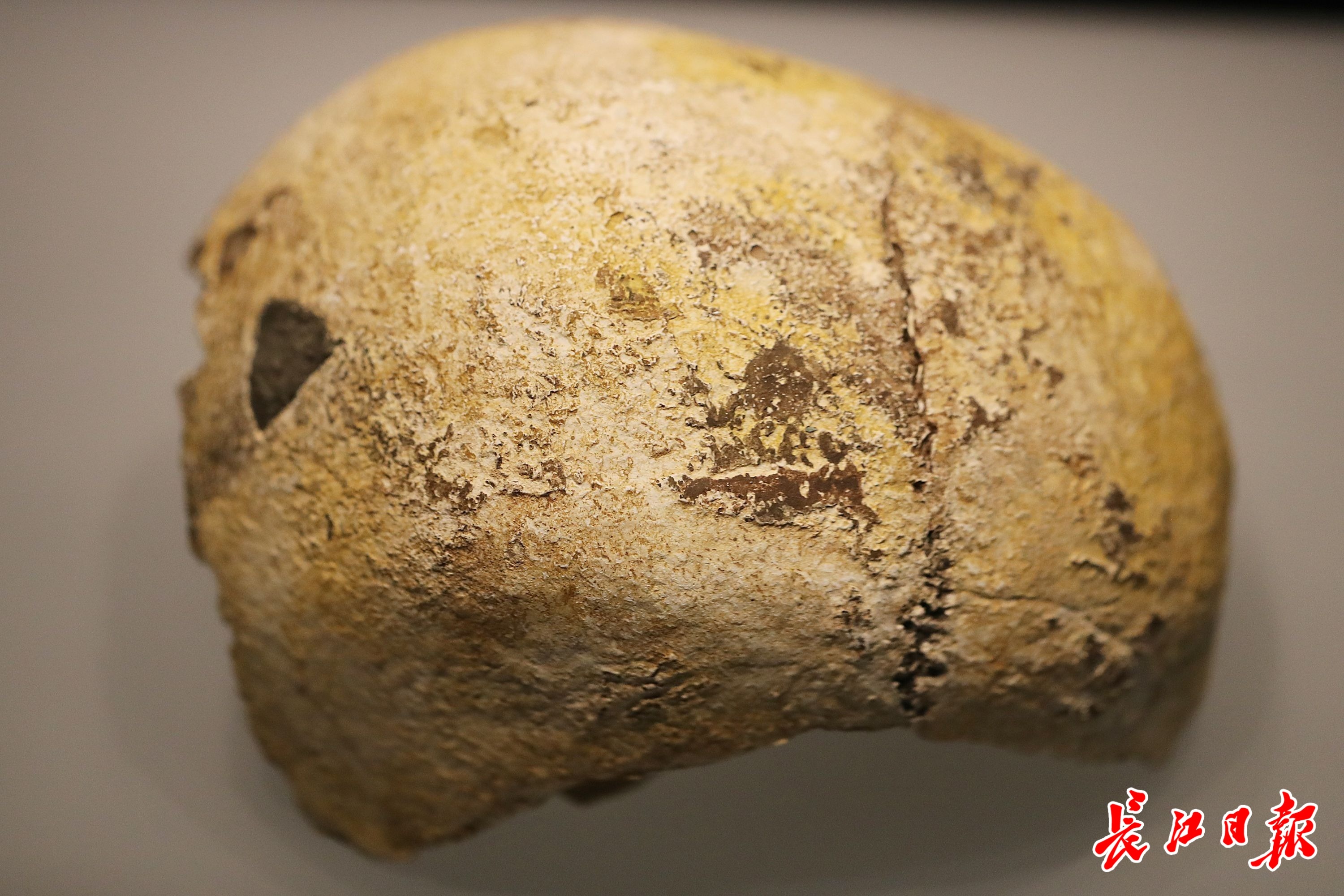 两个百万年人头骨化石相距不到300米,这一罕见发现具有世界意义