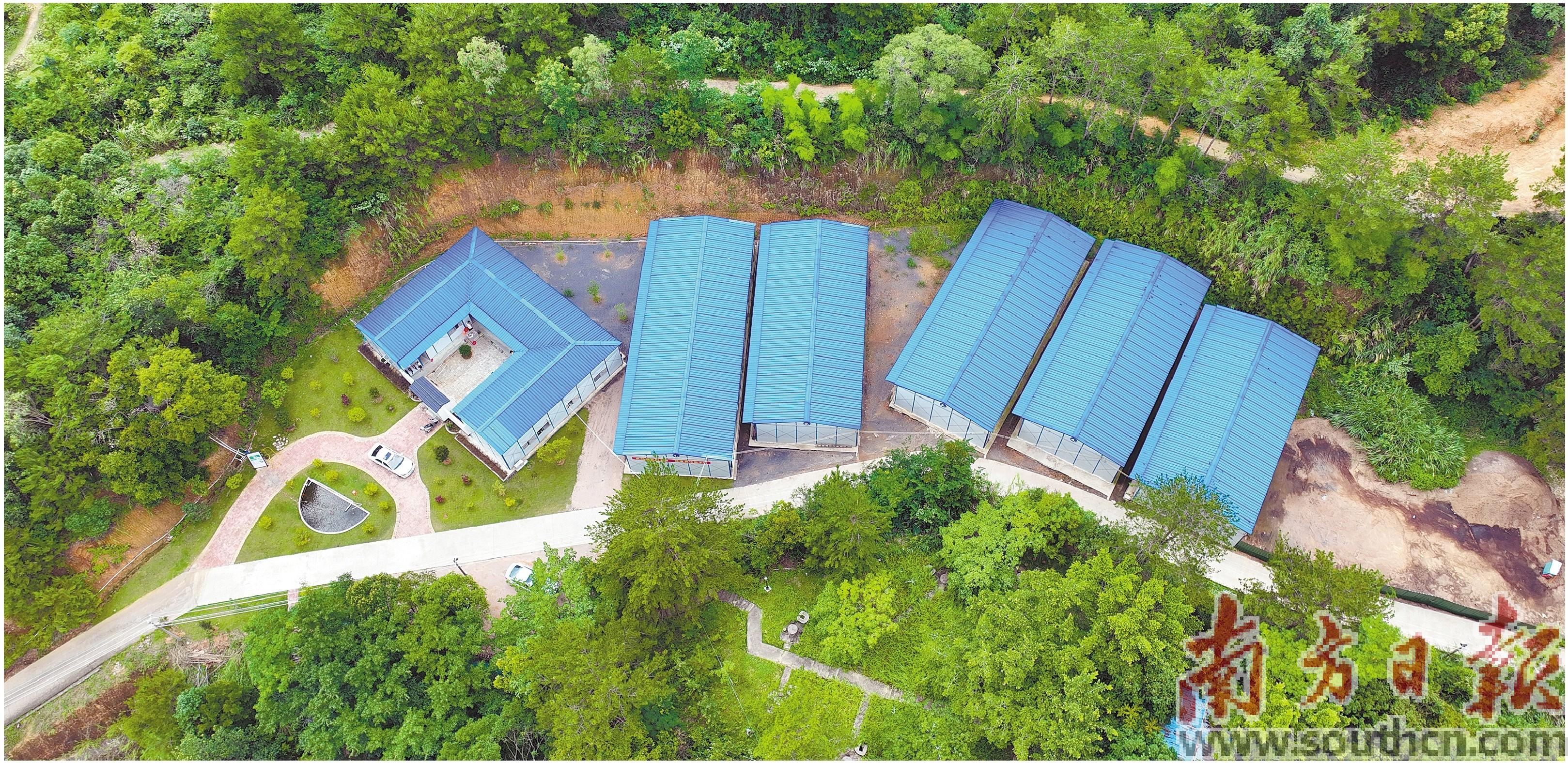 龙头跑起来 产业强起来