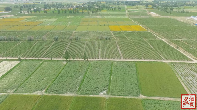 酒泉玉门大力推进高标准农田建设筑牢粮食安全耕基