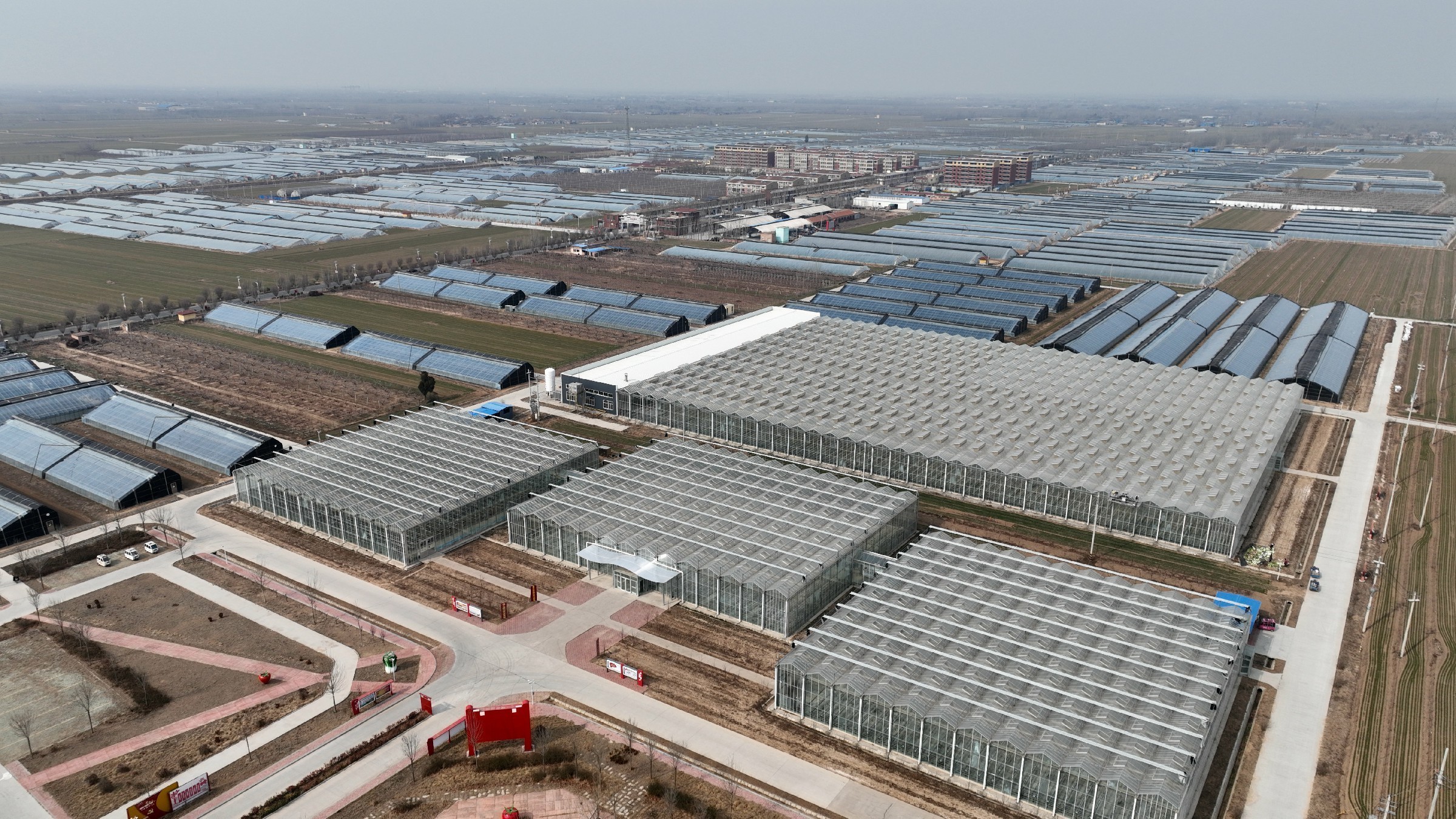 影像记录|山东省聊城市茌平区:设施农业富民强村