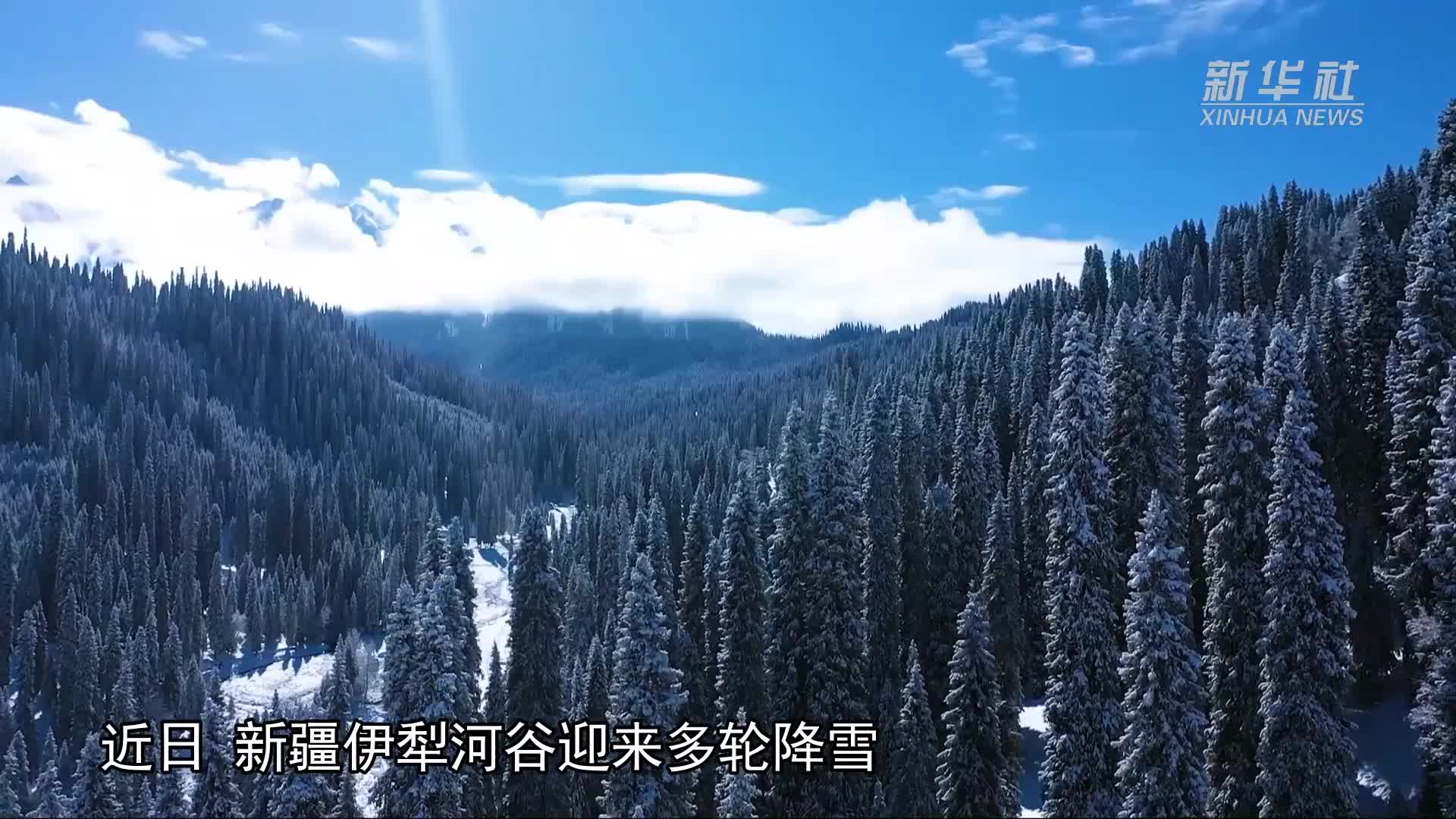 新疆伊犁河谷冬景如画