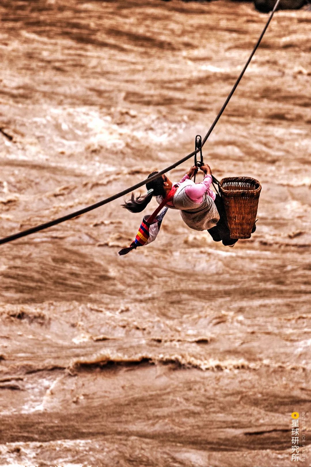 中国古桥,有多美?