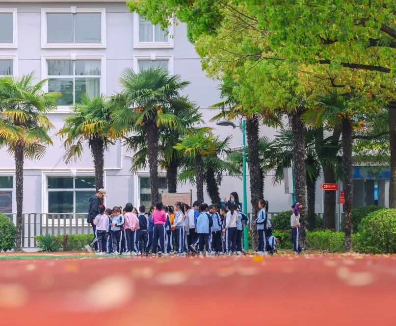印象同济黄渡小学:刻画世间万物,摹写文化之魂