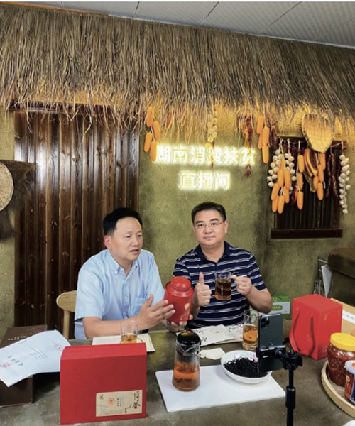 中国30个脱贫故事|"网红县长"带火了安化黑茶