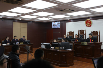 泰安张金胜等6人恶势力犯罪案始末