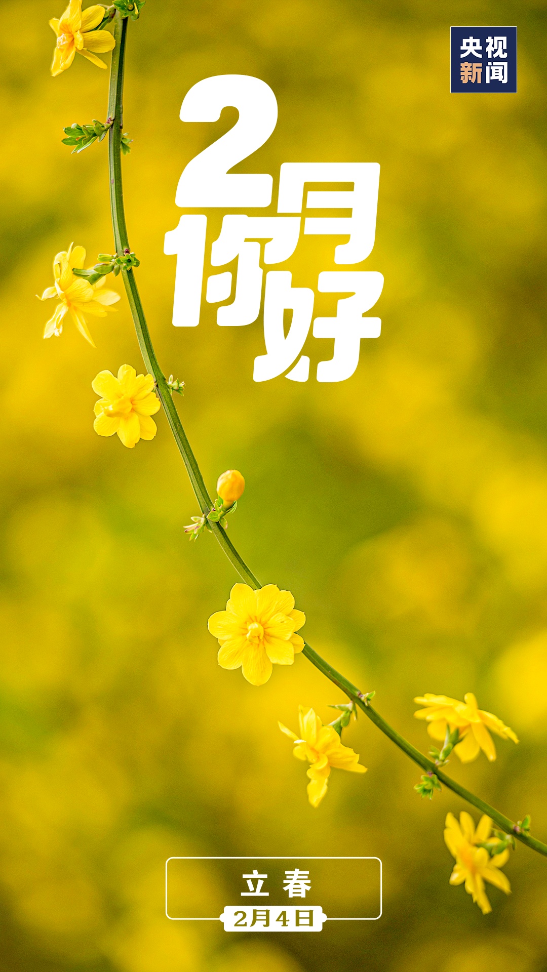 2月,你好!