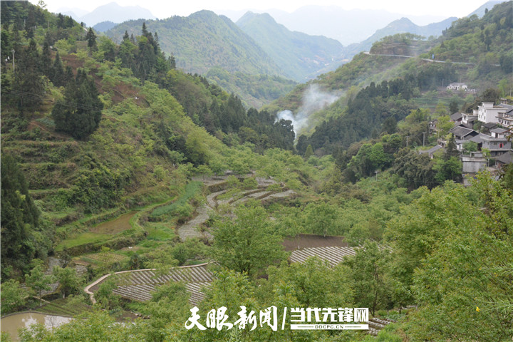 正安县格林镇:有把"长与短"致富"金钥匙"