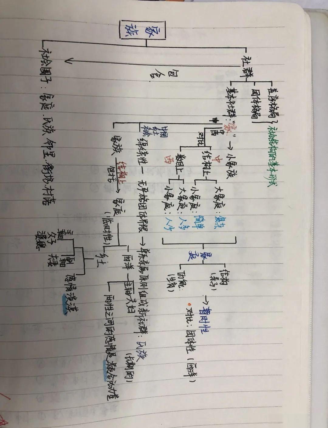 《乡土中国》系列论文的思维导图概览