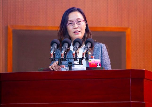 两会好声音|孟丹:打造"双龙荟萃"开放街区,提升湾东智芯国际化"芯"