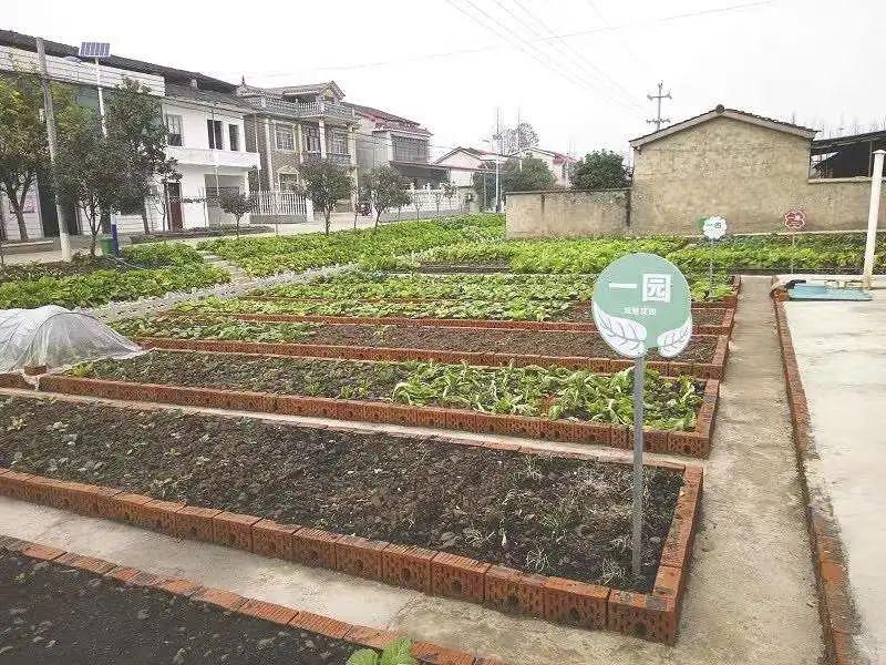 滨湖之地这样定义乡村宜居南县创新开展农户美丽庭院六个一建设小记