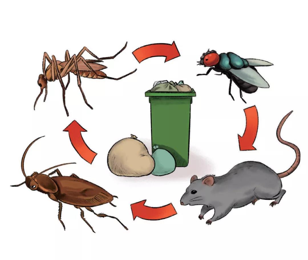 「中国公民健康素养」消灭四害