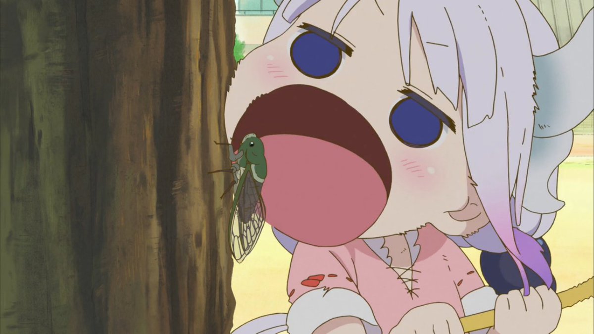 动漫中的那些吃货少女,撒娇卖萌样样精通,可是你养得起哪个