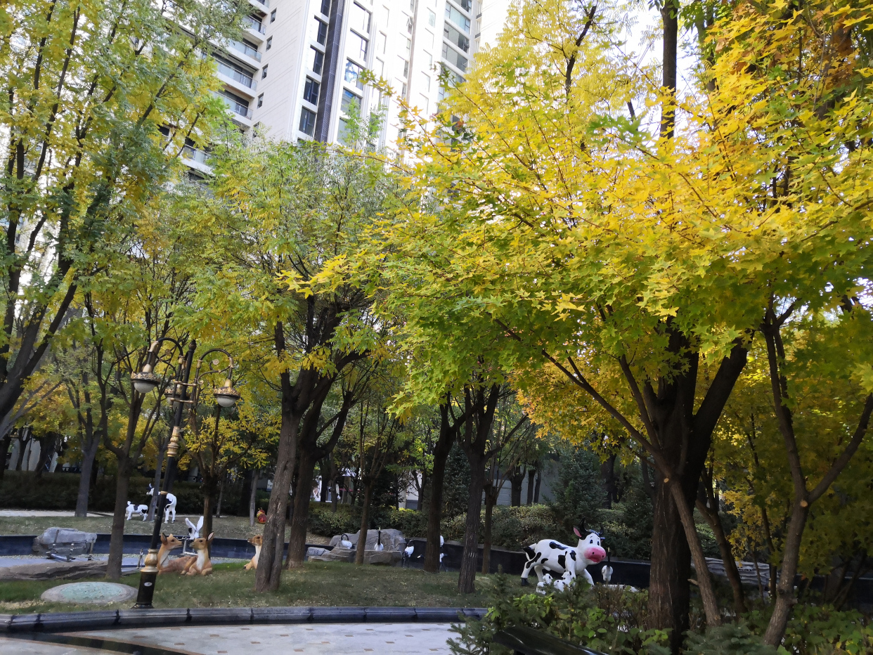 老年人便秘的方子——济川煎