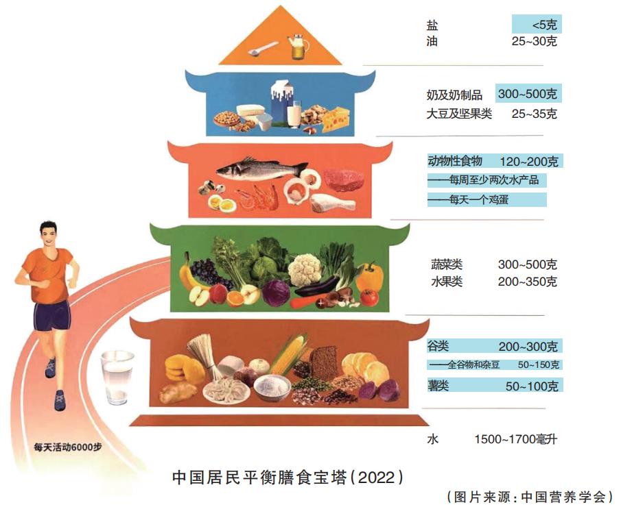 时隔6年,中国人的膳食宝塔"上新"了