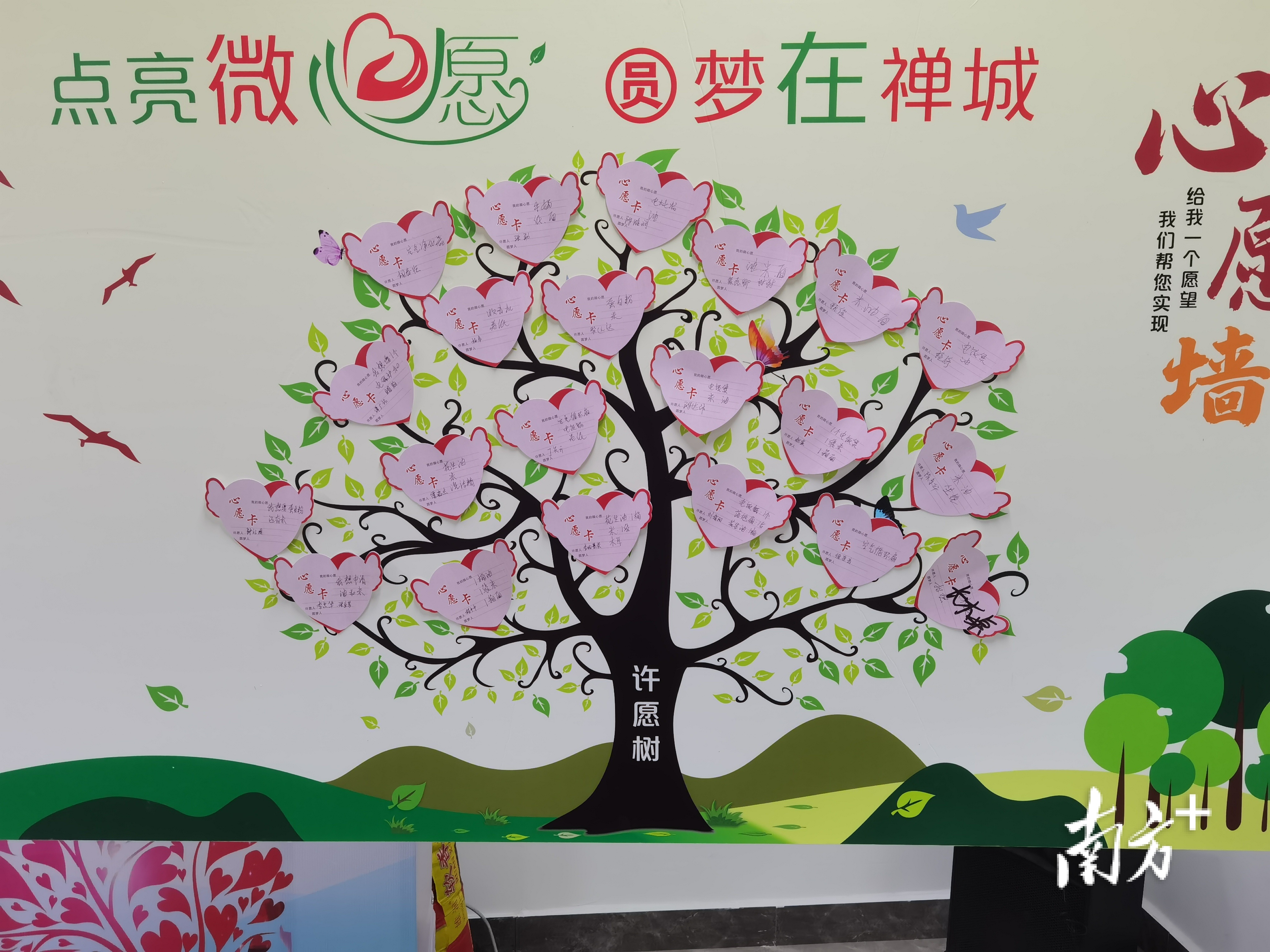 他们的"微心愿"是米面油,禅城启动特殊困难老人圆梦行动