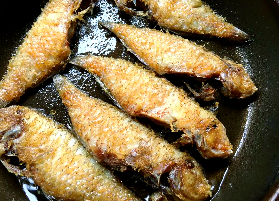 鹦哥鱼营养秘籍,从煎到吃全攻略