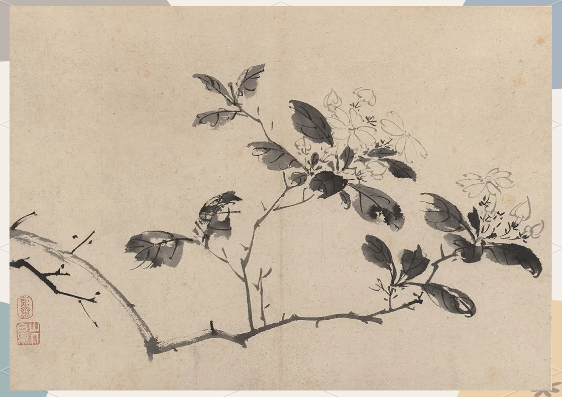 陈淳《花卉册》多幅佳作:明代花鸟画的艺术瑰宝