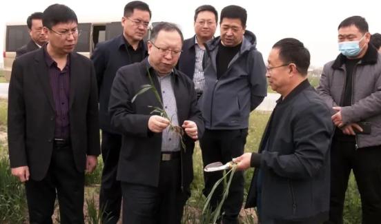 南皮新闻 | 副市长薛青松来我县调研