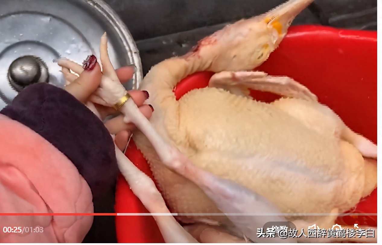 女子过年杀鸡,找到丢失多年的金戒指,预示着2021年好运连连
