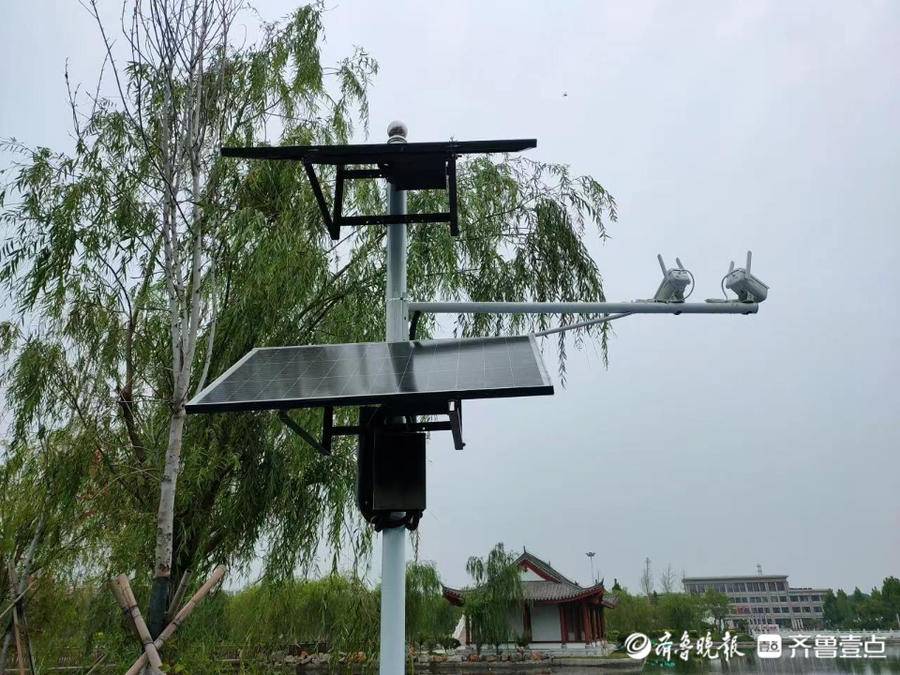 齐河县表白寺镇:智慧化系统打好防溺水"组合拳"