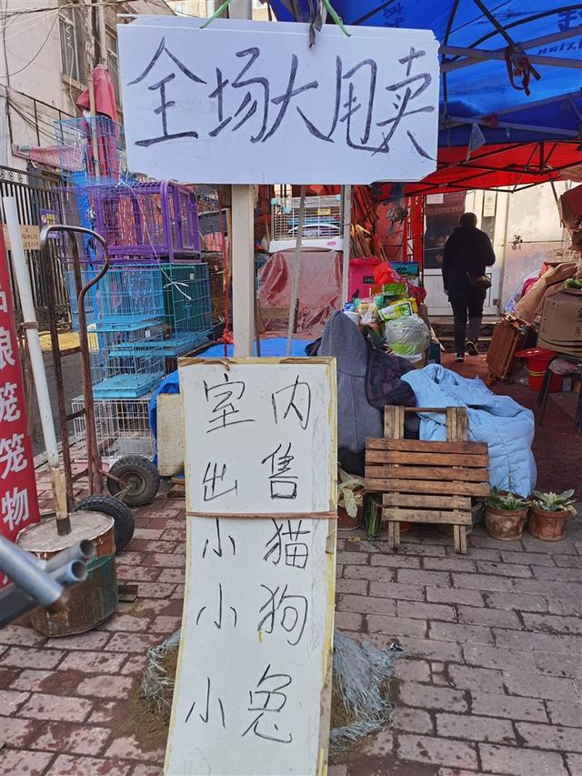 哈尔滨花鸟鱼市场"最后一天"!五味杂陈中告别